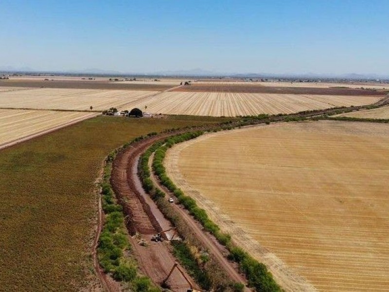 Lluvias por tormenta invernal no beneficiaron a campo sonorense