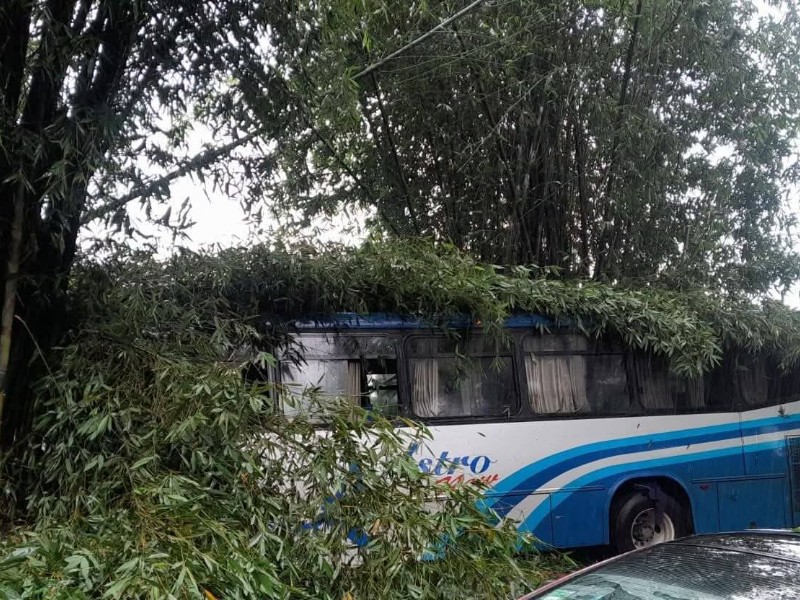 Lluvias propiciaron accidentes carreteros en Veracruz