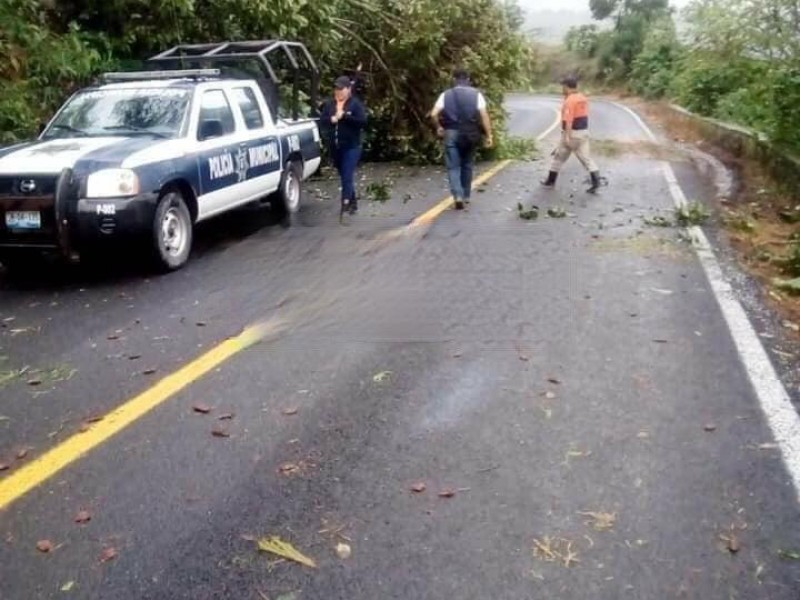 Lluvias provocan afectaciones en la Sierra Nororiental