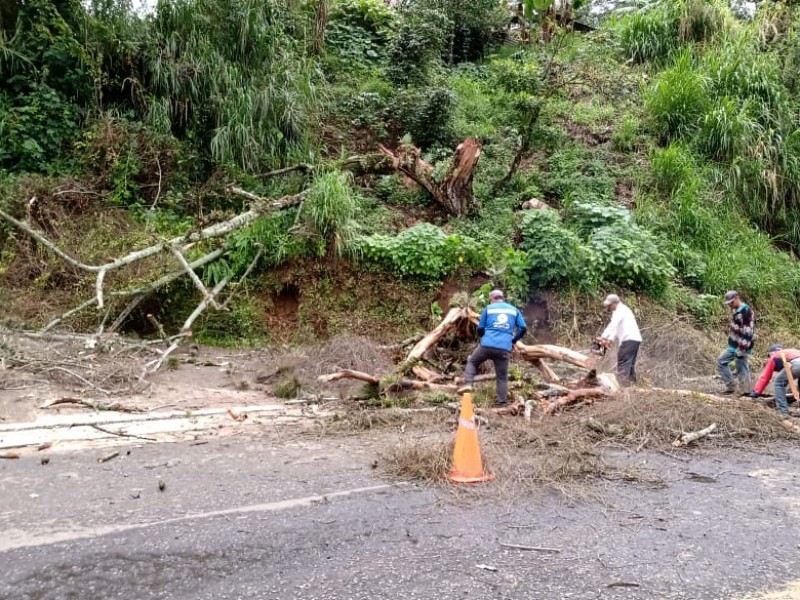 Lluvias provocan derrumbe en Filomeno Mata; hay tres muertos