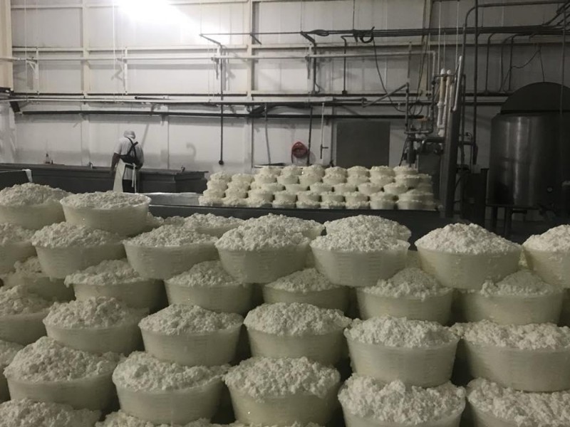 Lluvias reactivan al sector lechero y mejoran condiciones para productores sudcalifornianos