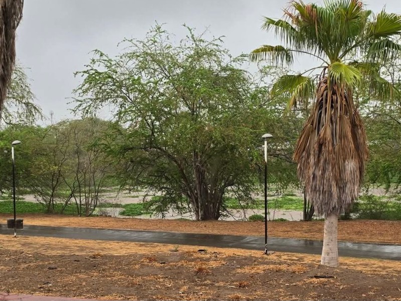 Lluvias sorprendieron a Culiacán la mañana de este domingo
