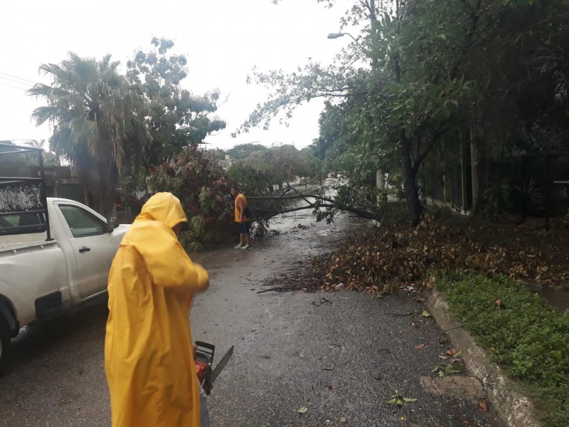 Lluvias torrenciales y trombas en Michoacán por paso de 