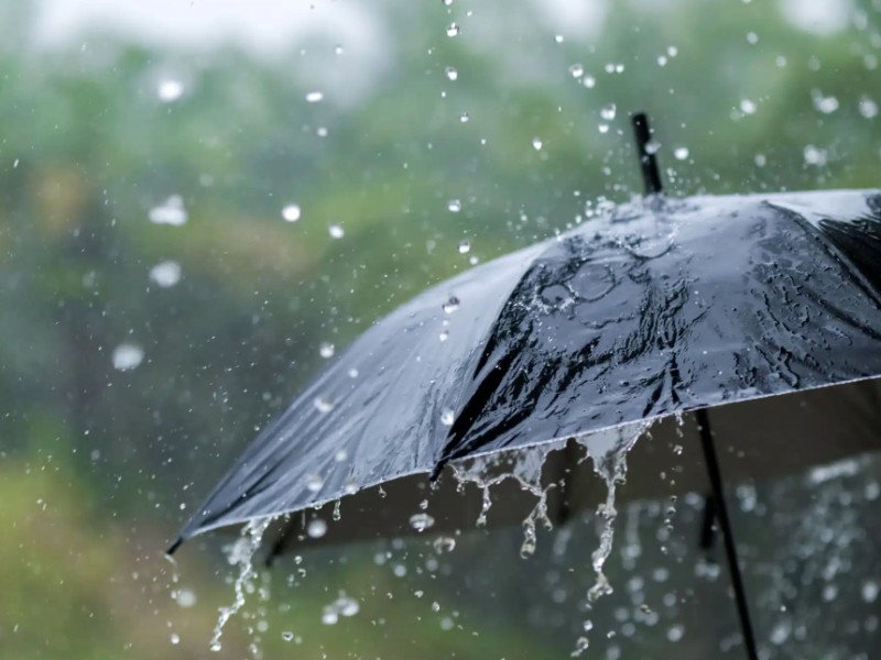 Lluvias traen alivio a la sequía en Sinaloa y Chihuahua