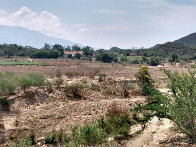 Lluvias traen más beneficios que afectaciones al campo; CNC