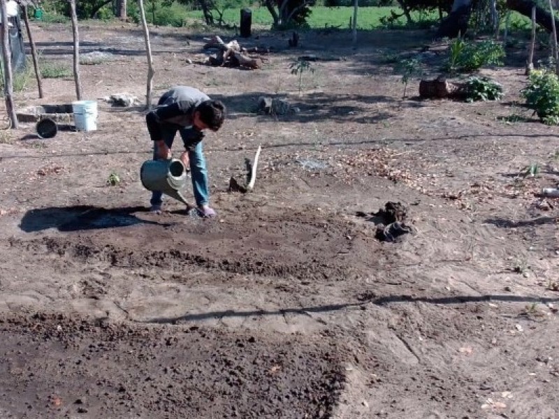 Lluvias y heladas destruyeron cultivos de autoconsumo en la sierra