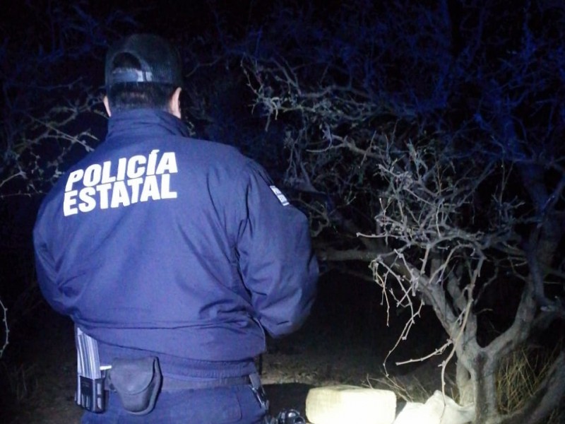 Localiza Policía Estatal 30 kg de hierba verde en Nogales