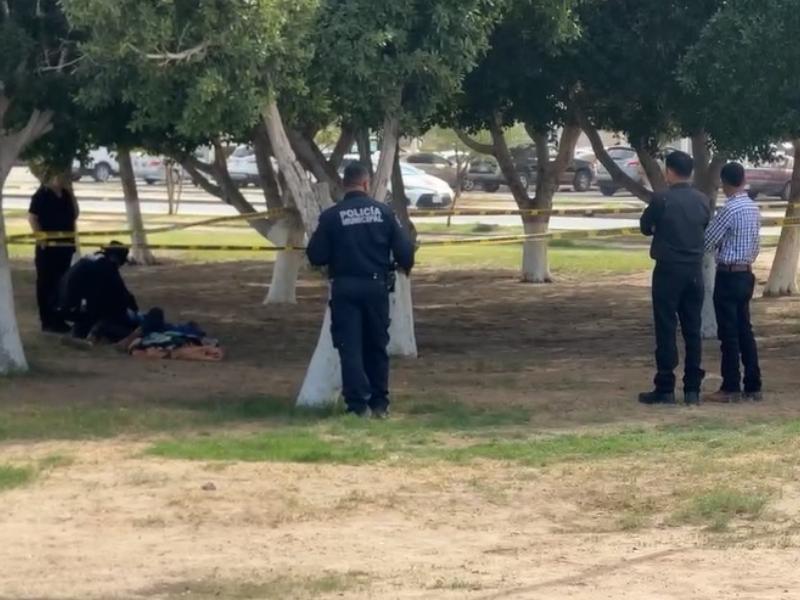 Localizan a hombre sin vida en el Parque Solidaridad de San Luis