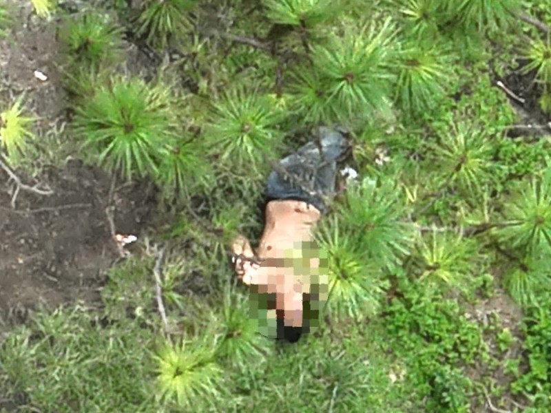 Localizan a joven con esquizofrenia extraviado en cerro de San Juan