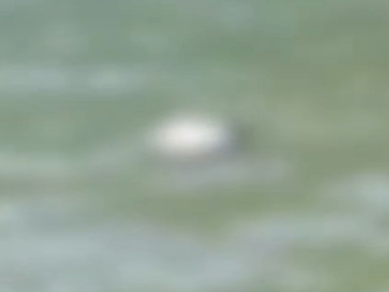 Localizan cabeza humana flotando en Río Suchiate
