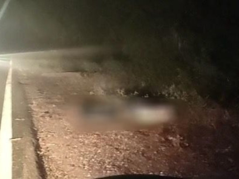 Localizan cadáver con signos de violencia en Chihuitán, Oaxaca