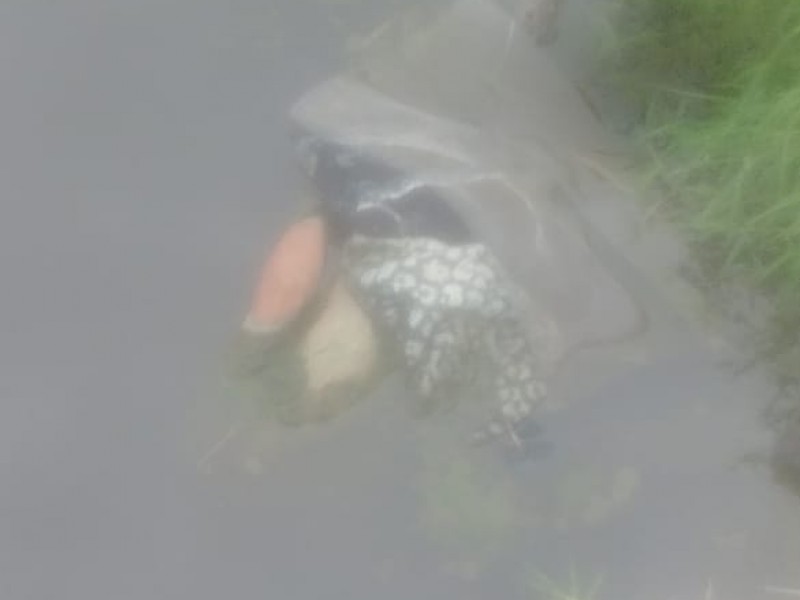 Localizan cadáver en canal de agua en Tlajomulco