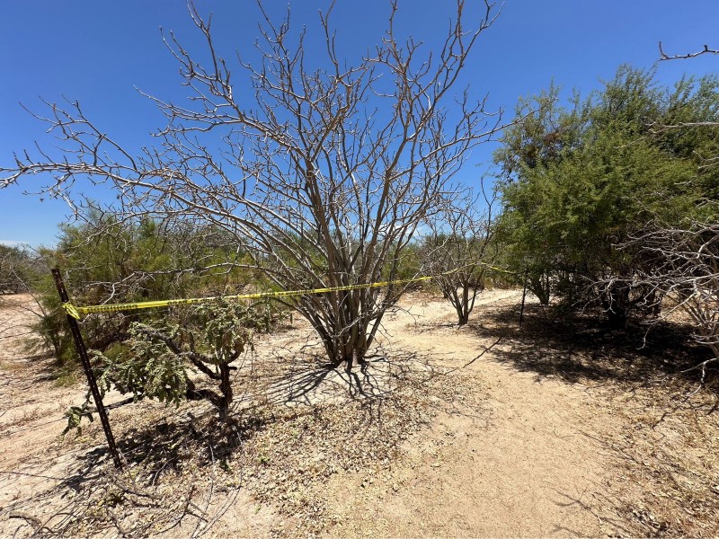 Localizan cinco fosas clandestinas en La Paz, BCS