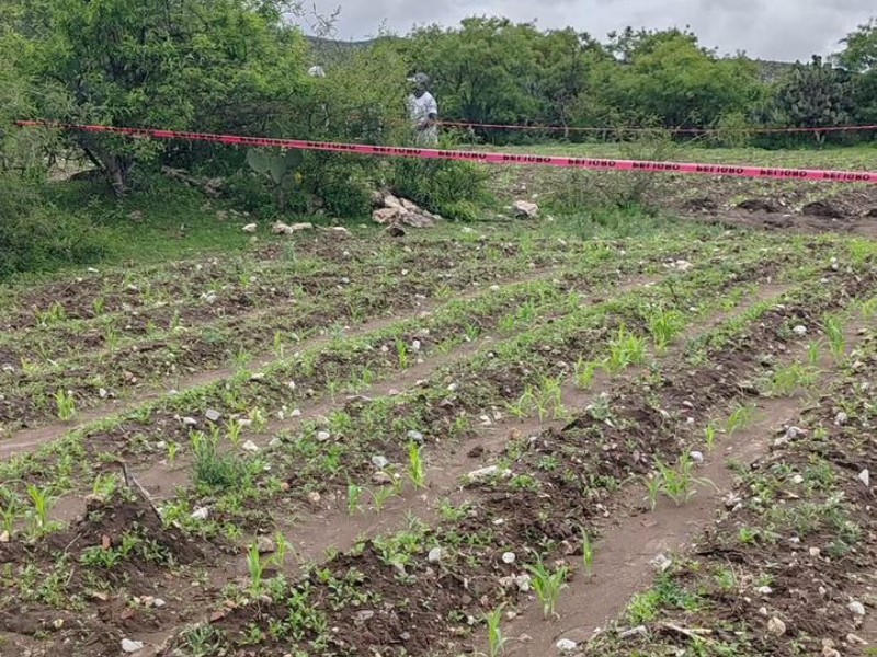 Localizan cuerpo en Palmar de Bravo, suman 5 este fin de semana