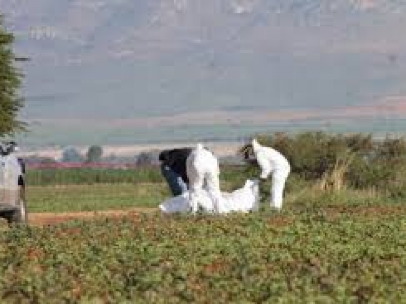 Localizan cuerpo torturado de joven