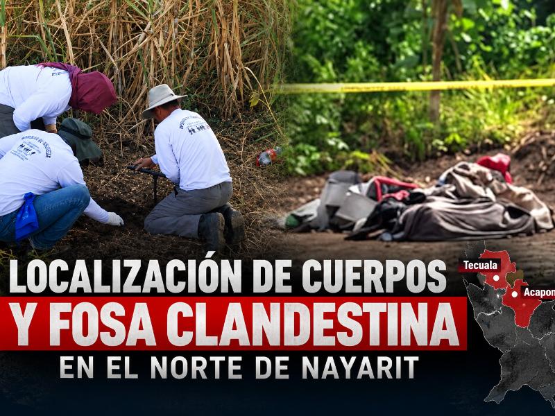 Localizan cuerpos y fosa clandestina en zona norte de Nayarit