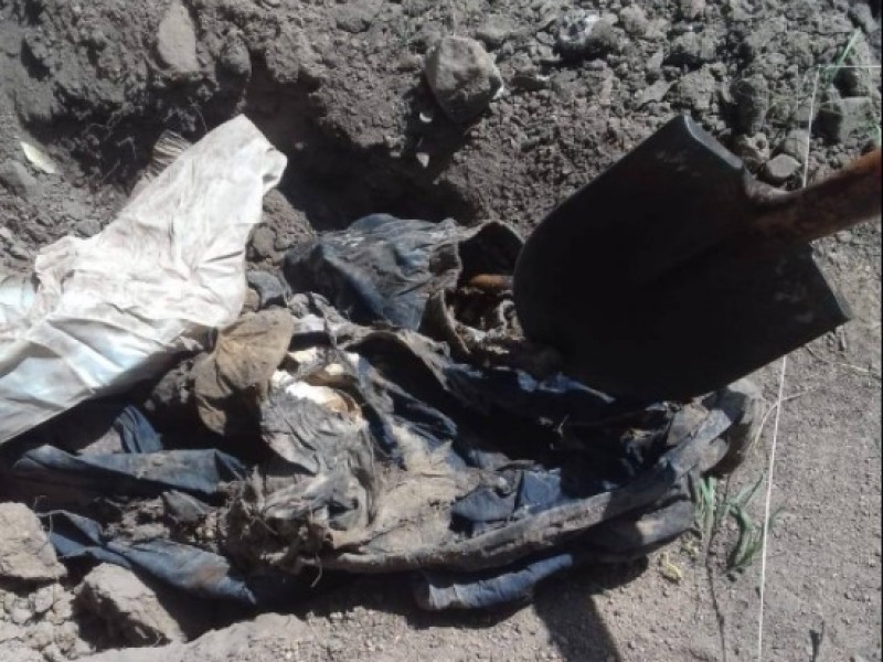 Localizan Madres Buscadoras restos 8 cuerpos en Nogales