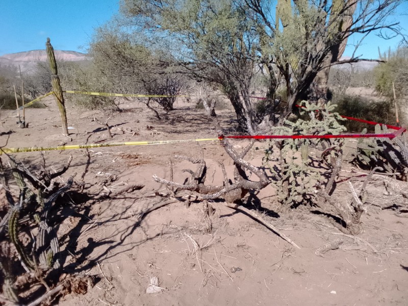 Localizan nueva fosa clandestina; suman 89 hallazgos en un año