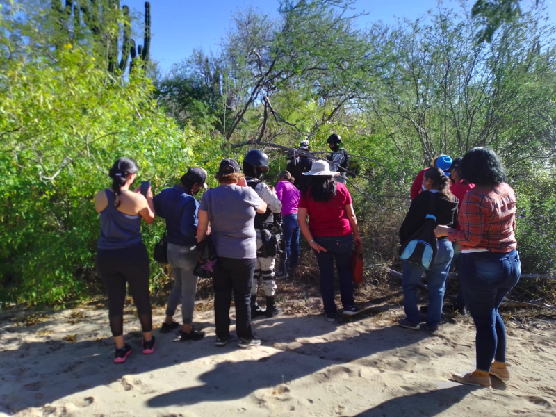 Localizan osamenta en las inmediaciones de la colonia Calafia