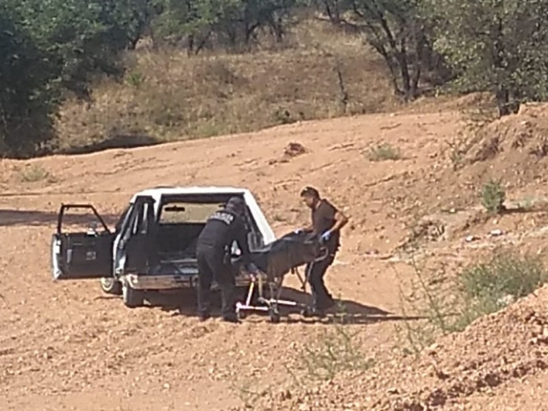 Localizan persona muerta al sur de Nogales.