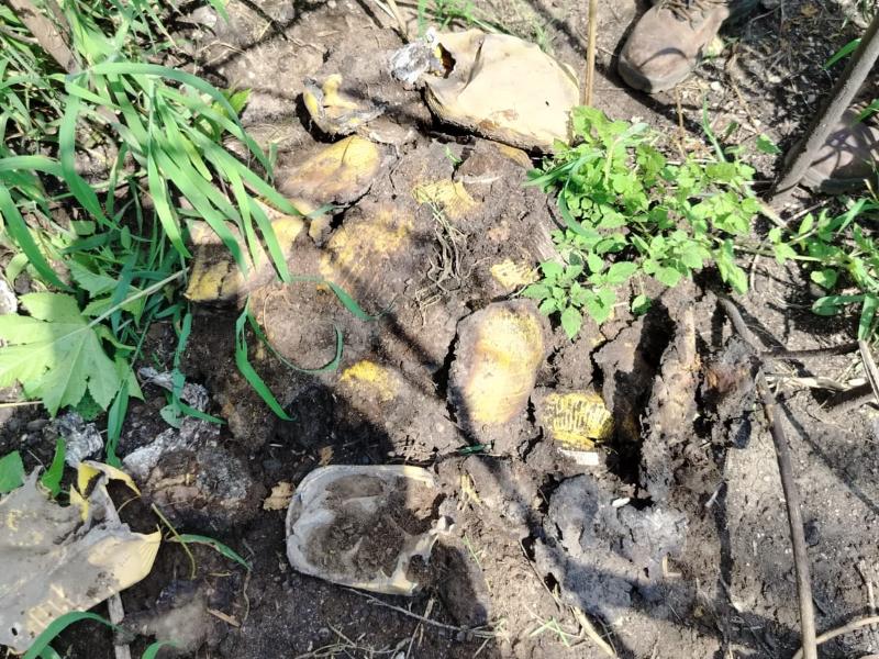 Localizan restos humanos afuera del Rancho Izaguirre