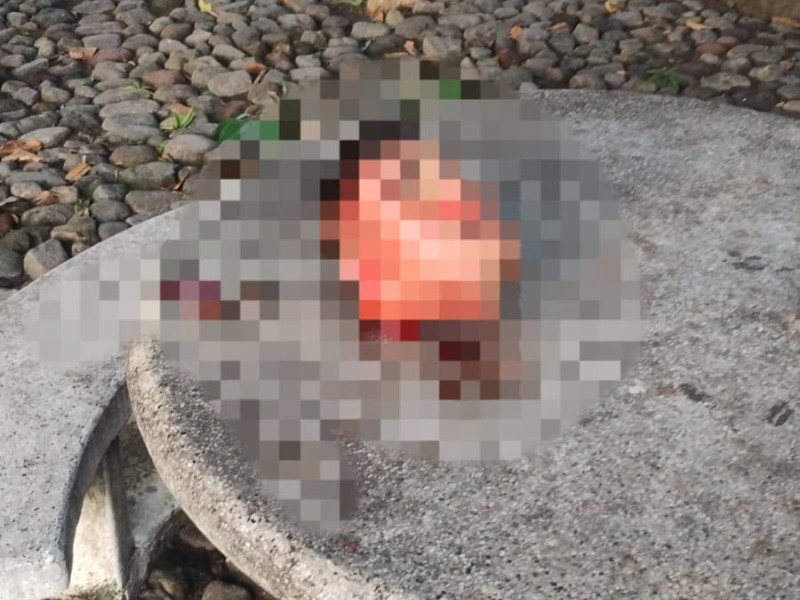 Localizan restos humanos en 4 puntos de Colima-Villa de Álvarez