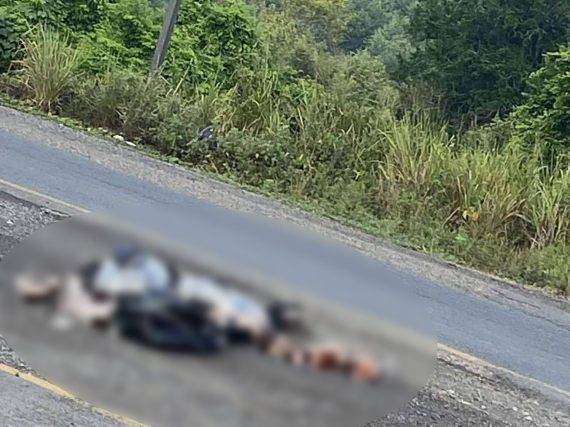 Localizan restos humanos en carretera de Álamo