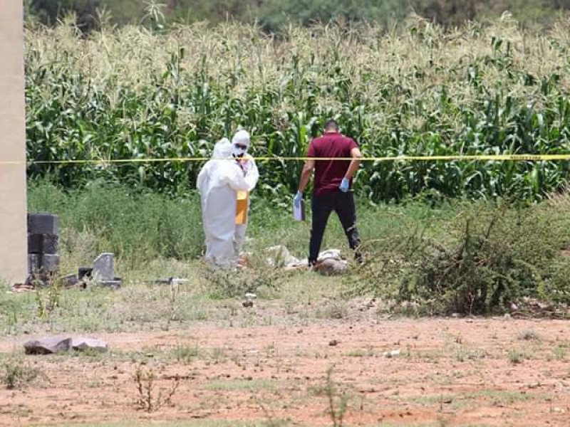 Localizan restos humanos en Guadalupe