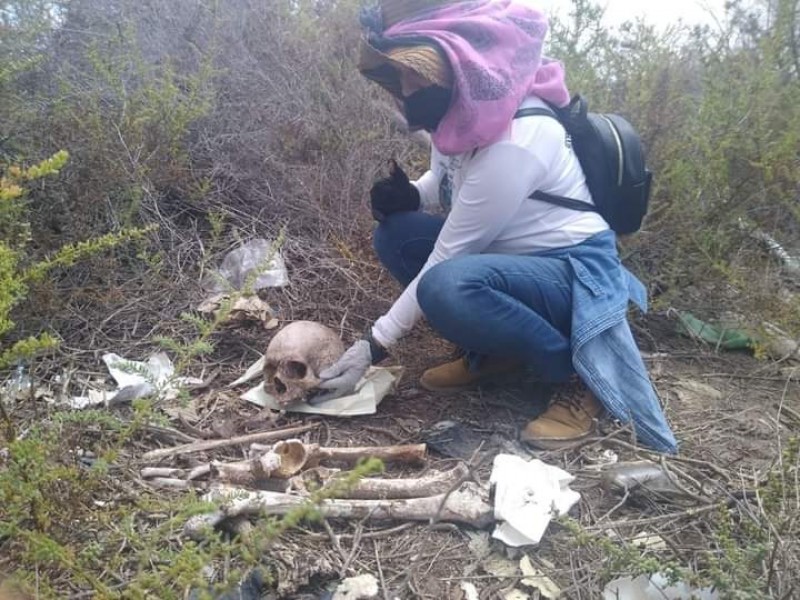 Localizan restos óseos de humano en camino a Mabejaqui Huatabampo