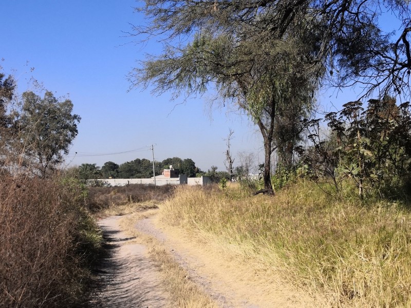 Localizan sin vida un cuerpo en fraccionamiento de Tlaquepaque