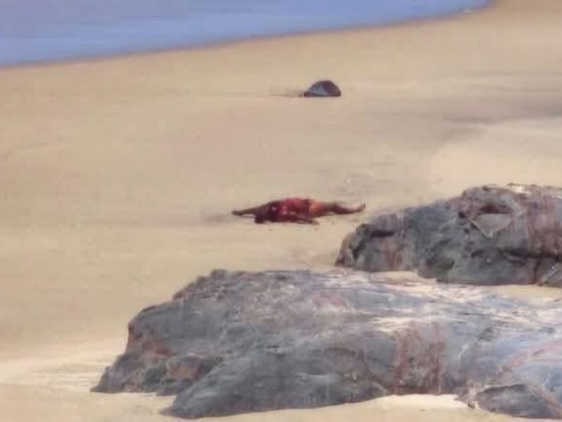 Localizan un cuerpo sin vida en zona costera de playa San Cristóbal
