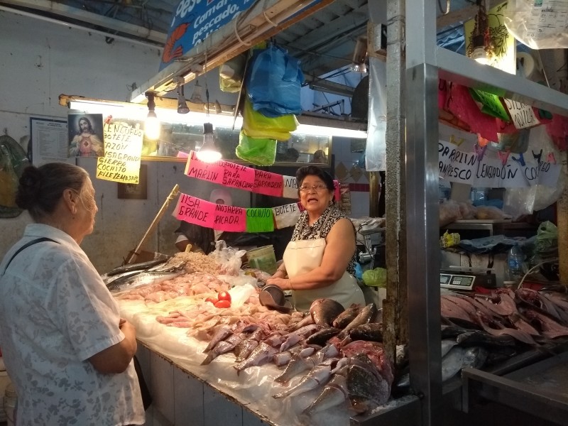 Locatarios del Mercado Popular desmienten plaga de ratas