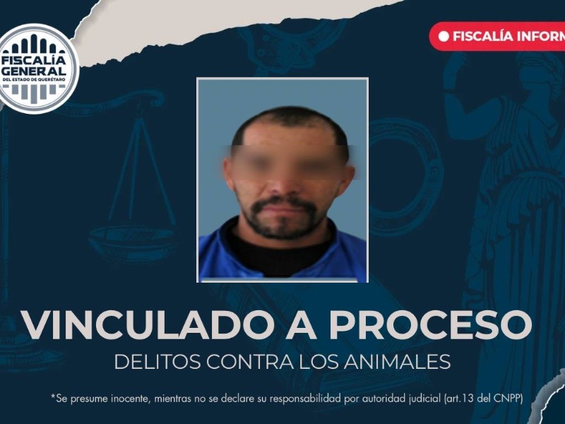 Logra fiscalía resolucion por maltrato animal en el municipio de Corregidora