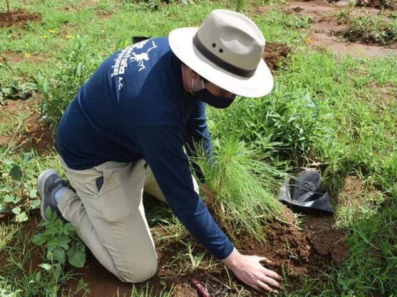 Logra Tangancícuaro declaratoria de conservación natural del Cerro Grande