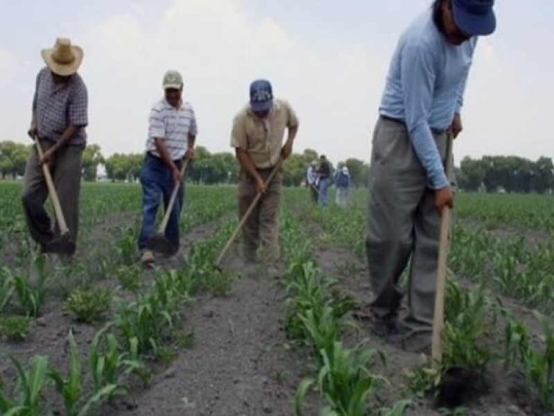 Logran acuerdos campesinos y CONAGUA para riegos de Octubre