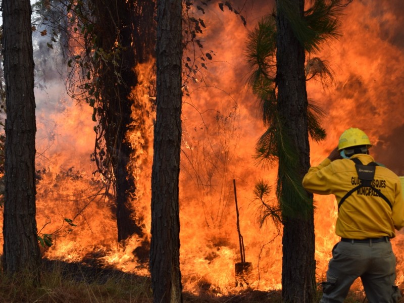 Logran controlar incendio forestal en Uruapan