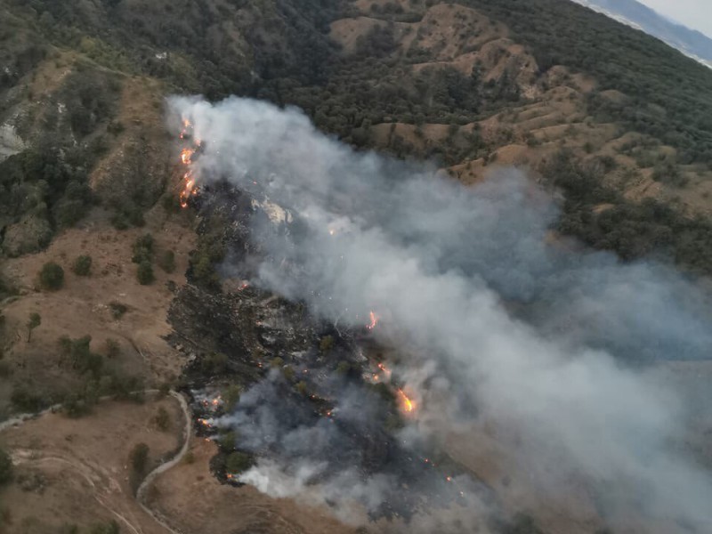 Logran sofocar incendio en la Primavera