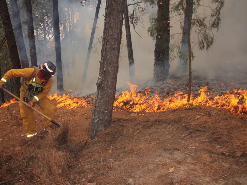 Los incendios forestales incrementan un 30% en época de calor.