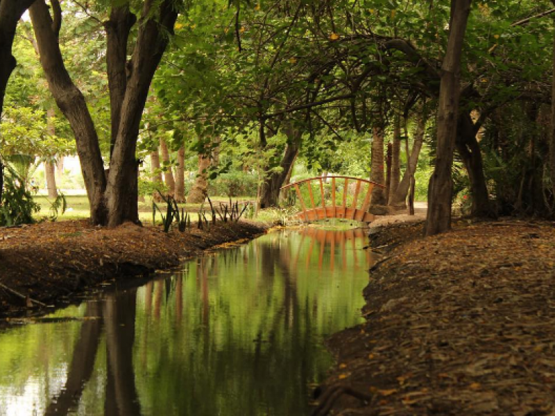 Los Mochis, una ciudad atractiva para el turismo