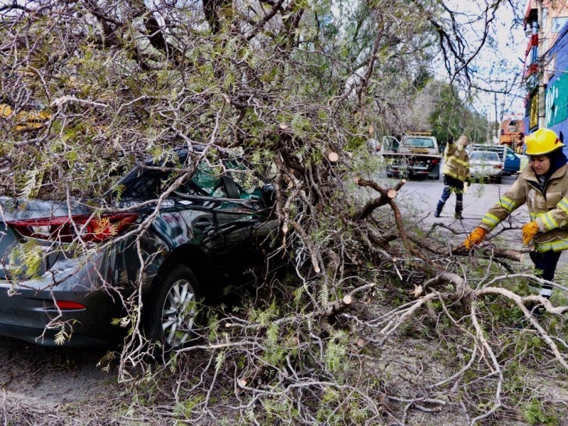 Los vientos han alcanzado los 65 km/h