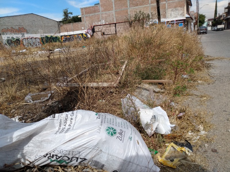 Lote baldío en las Trojes, causa inseguridad