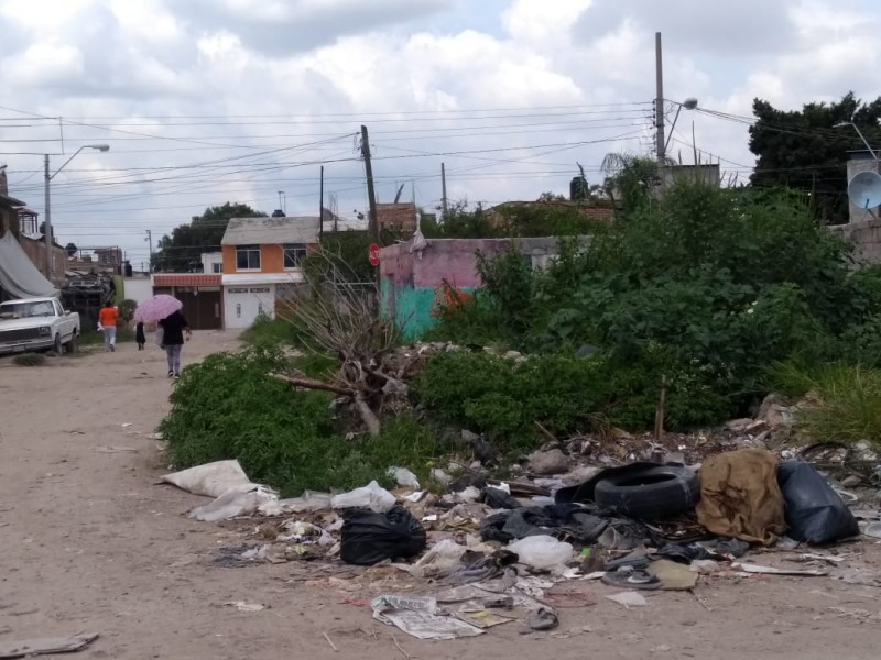 Lotes baldíos, focos de inseguridad