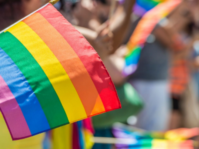 Lucha por los derechos LGBT continúa de manera virtual