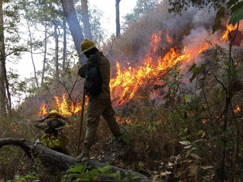 Luchan combatientes por controlar incendios en 5 municipios de Nayarit
