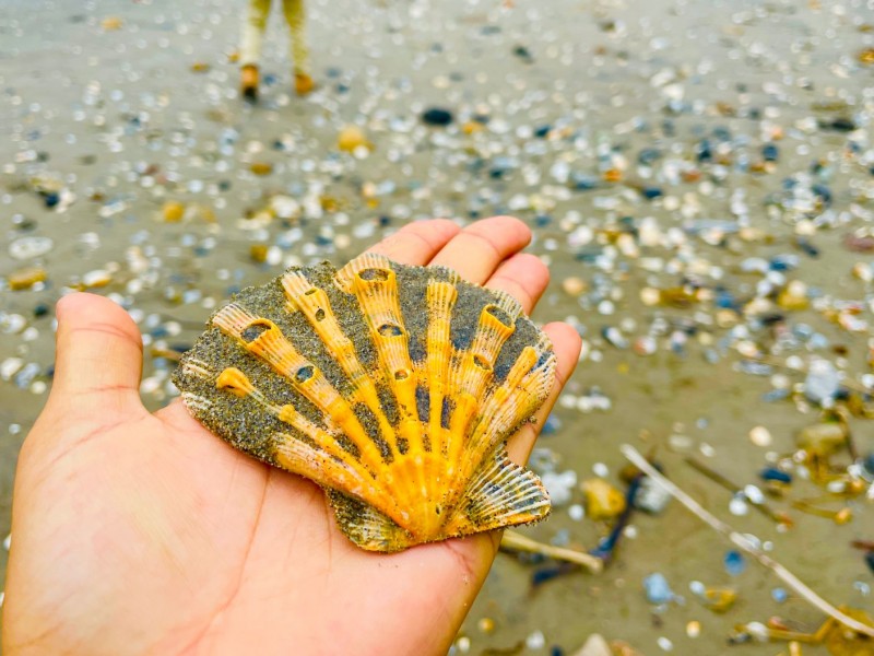 Luchan para evitar saqueo de playa El Sacrificio