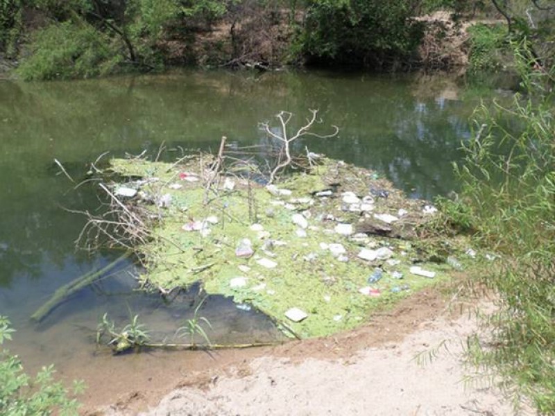 Luchan por el rescate del arroyo 