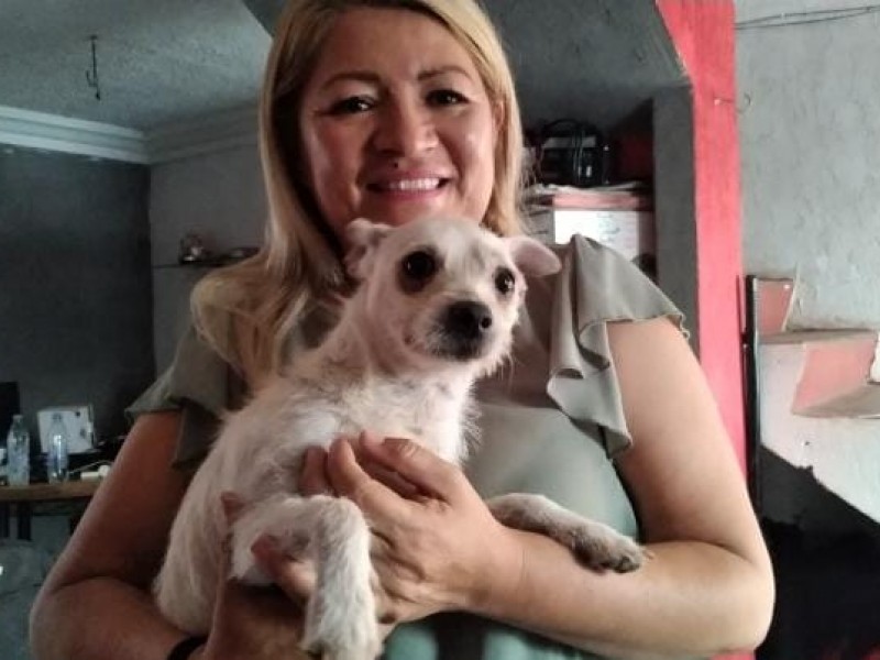 Luisa Quijano, dedica parte de su vida al rescate animal
