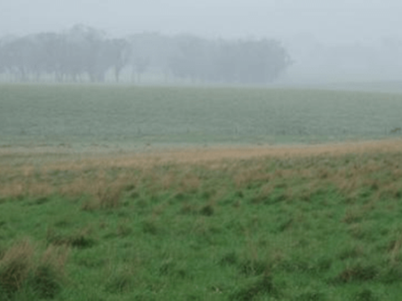 Luvias insuficientes para beneficio al campo