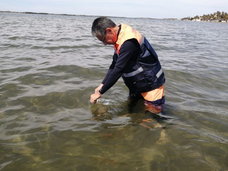 Playas de Sinaloa están limpias: COEPRISS