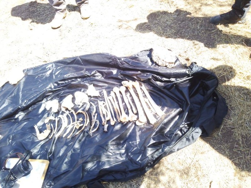 Madres Buscadoras localizan restos humanos en Navojoa